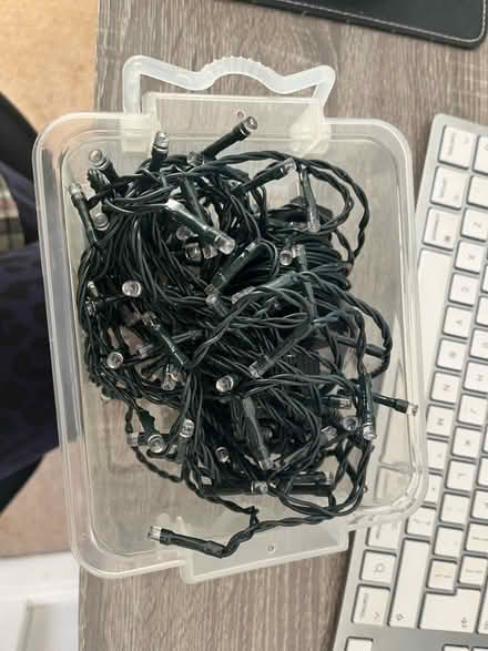 Photo of free Christmas lights (Tunbridge Wells TN2) #1