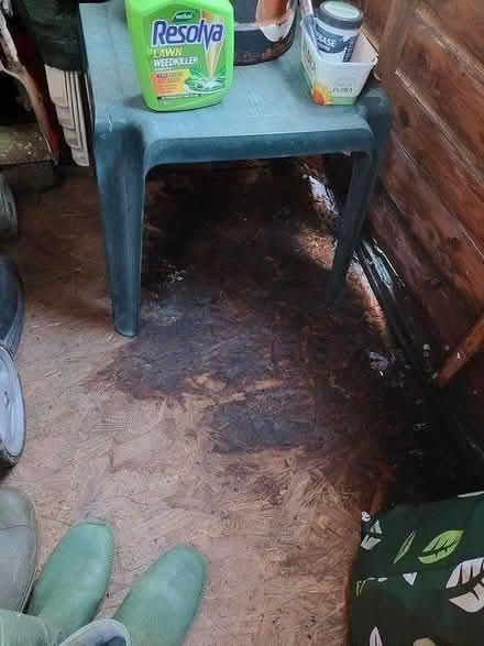 Photo of free Shed Pieces and Wood (Twickenham TW2) #1