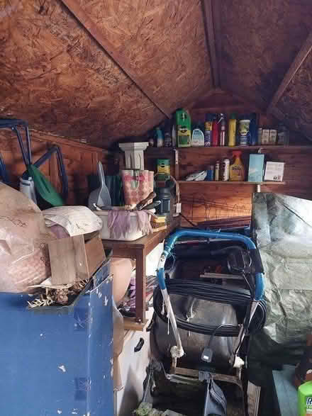 Photo of free Shed Pieces and Wood (Twickenham TW2) #4