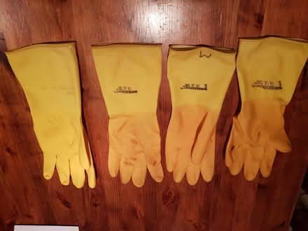 Photo of free Left hand Marigolds (Brocton ST17) #1