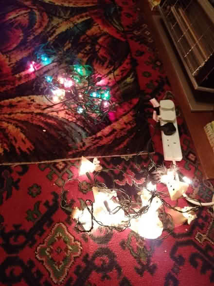 Photo of free Christmas lights (Walsall WS2) #1