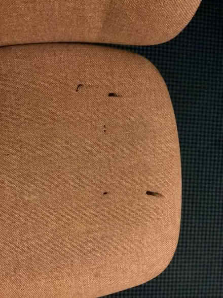 Photo of free Chair (Round Green LU3) #1