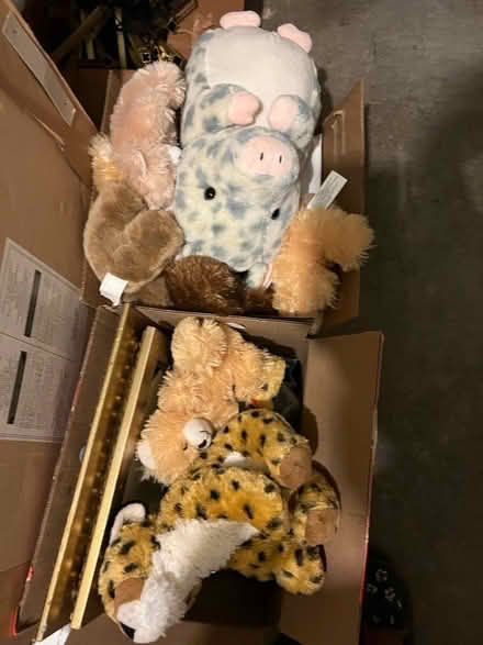 Photo of free Stuffed Animals (Glenolden, PA) #1
