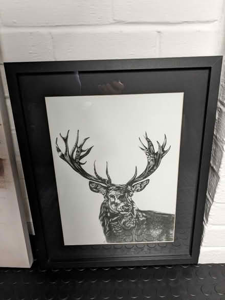 Photo of free Various art/posters (Frimley Green GU16) #1