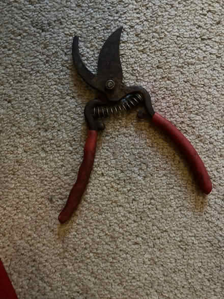 Photo of free Secateurs (SE8 Deptford) #1