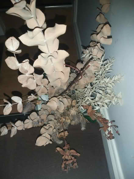 Photo of free Dried flowers (South Tottenham N15) #1