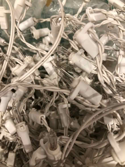 Photo of free Icicle Xmas lights (West Hill) #2