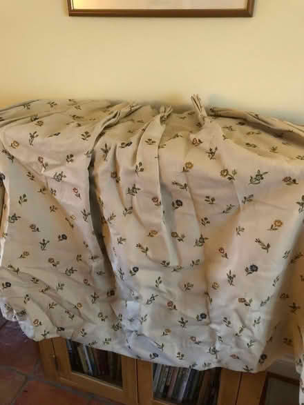 Photo of free Curtains (West Lavington SN10) #2