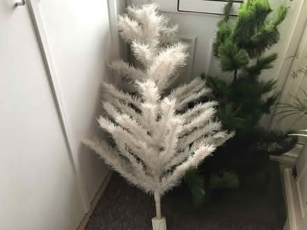 Photo of free Artificial Xmas tree s (Colchester CO4) #2