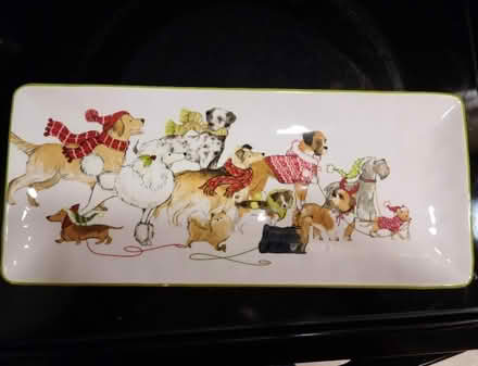 Photo of free Park Avenue Puppies (Germantown) #3