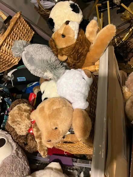 Photo of free Stuffed Animals (Glenolden, PA) #2