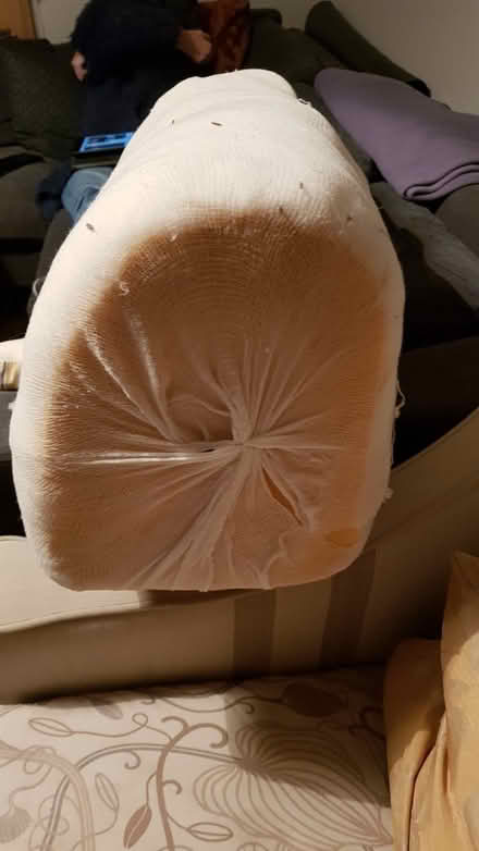 Photo of free long rounded wedge shape cushion (Trinity EH5) #2