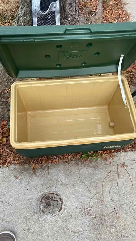 Photo of free Igloo cooler (East Somerville) #1