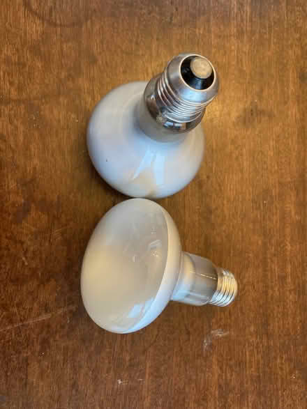 Photo of free 2 large spotlight bulbs (Florence Park OX4) #1