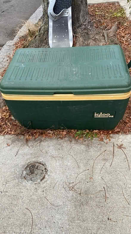 Photo of free Igloo cooler (East Somerville) #2