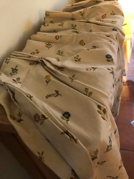 Photo of free Curtains (West Lavington SN10) #1
