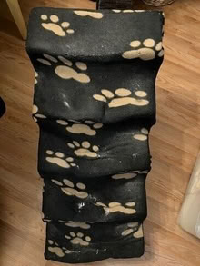 Photo of free dog stairs #1