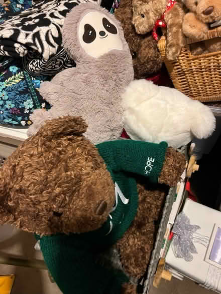Photo of free Stuffed Animals (Glenolden, PA) #3