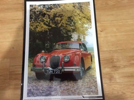 Photo of free Laminated Jaguar print (WR5) #1