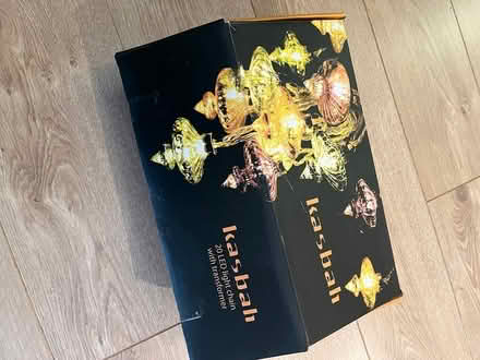 Photo of free 20 Christmas Tree Lights (W5 Ealing) #1