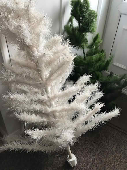 Photo of free Artificial Xmas tree s (Colchester CO4) #1