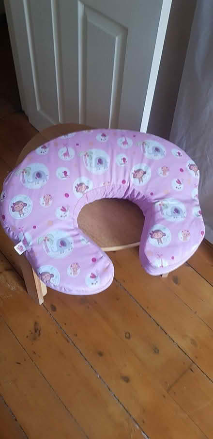 Photo of free Breastfeeding pillow (Portway, Frome, BA11) #3
