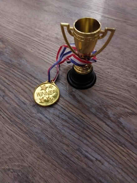 Photo of free Plastic medal and Miniature Trophy (S60 Catcliffe) #1