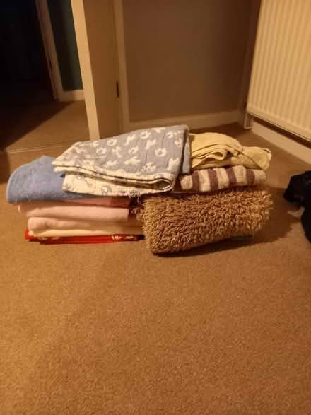 Photo of free Large bundle doggie towels and blankets (Gobowen SY11) #1