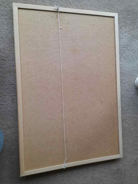Photo of free Cork board and pins (Norfolk Park S2) #1