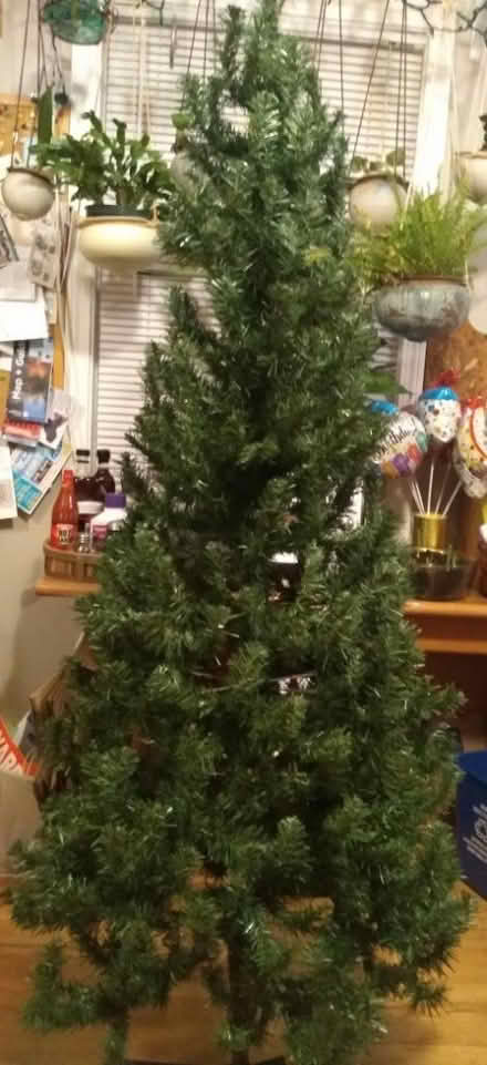 Photo of free 6' Wesley Pine artificial tree (Pawtucketville / Lowell) #2