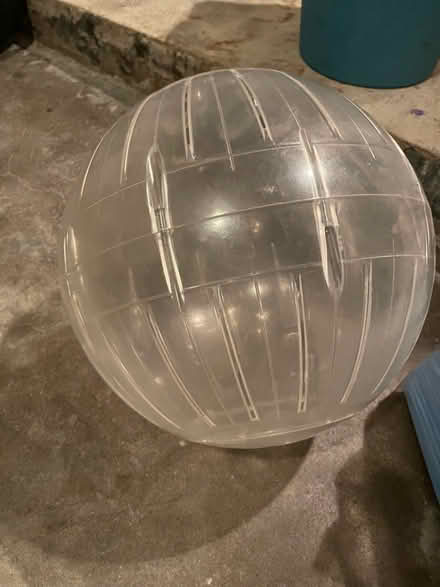 Photo of free Guinea pig items (Wallingford) #4