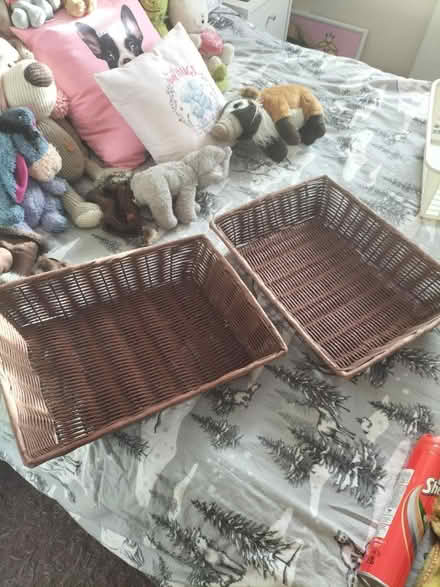 Photo of free Wicker baskets (TN37 Hastings) #1