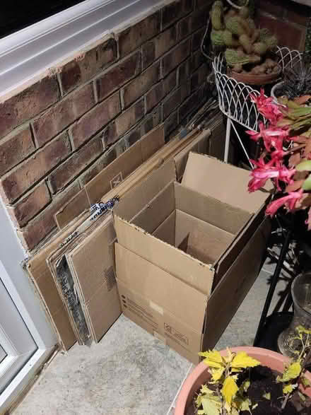 Photo of free Medium cardboard boxes (Coulsdon CR5) #1