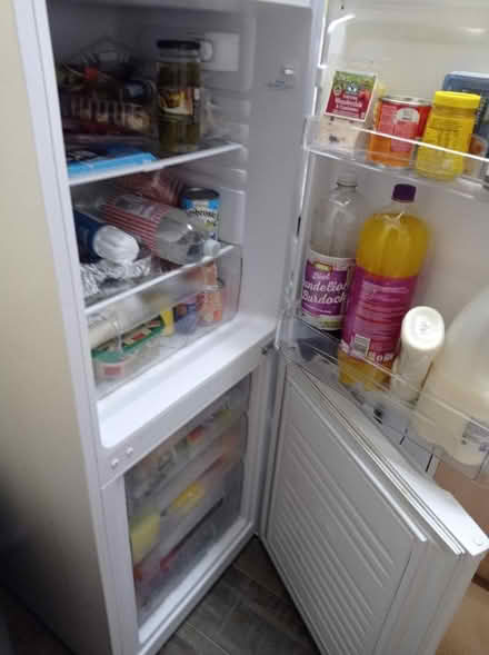 Photo of free Fridge freezer (Liverpool L12) #1