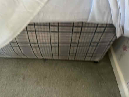 Photo of free Single divan bed and mattress (Wrestlingworth nr Biggleswade) #2