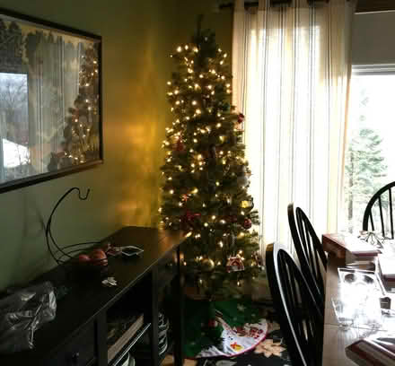 Photo of free 7' tall Christmas Tree (Peterborough.) #1