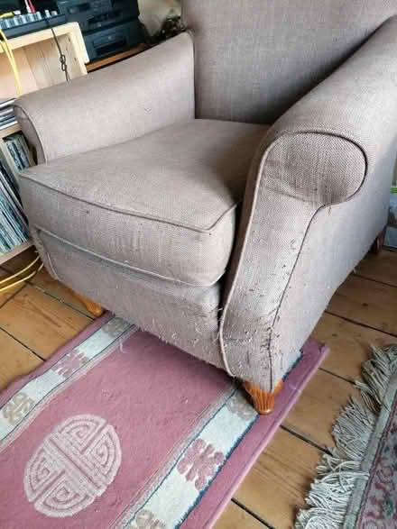 Photo of free Armchair (Bowbridge GL5) #2