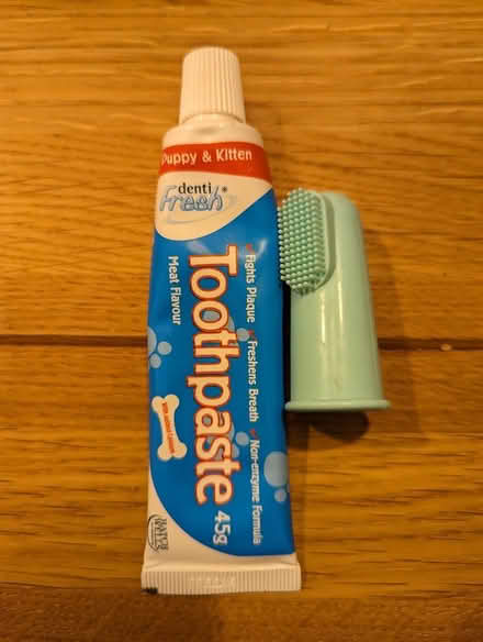 Photo of free Puppy or cat toothpaste (CR0) #1
