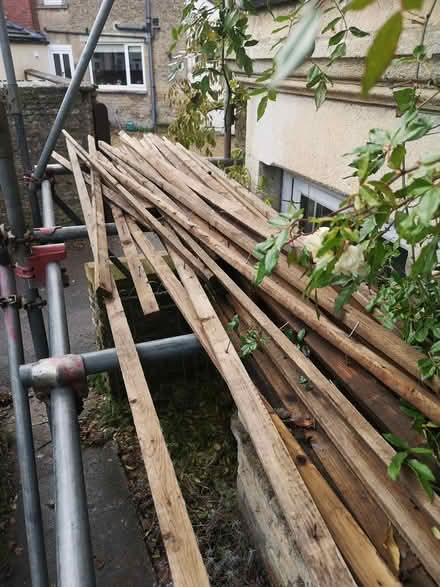 Photo of free Old roofing batten (BA11 Frome) #1