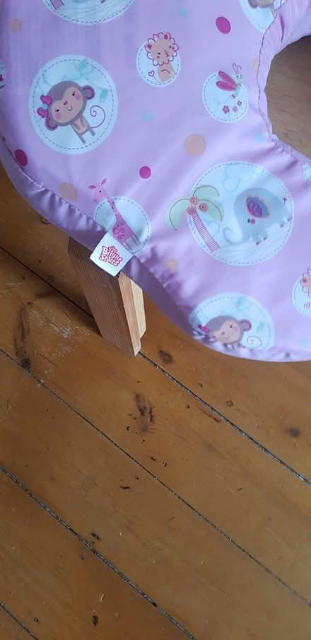 Photo of free Breastfeeding pillow (Portway, Frome, BA11) #2