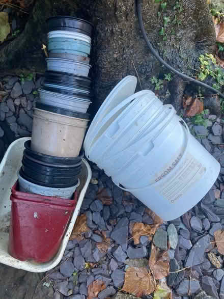 Photo of free Medium plastic plant pots (Hastings TN35) #1