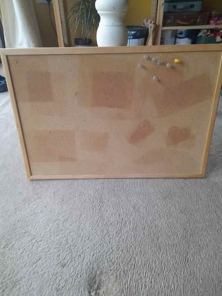 Photo of free Cork board and pins (Norfolk Park S2) #2