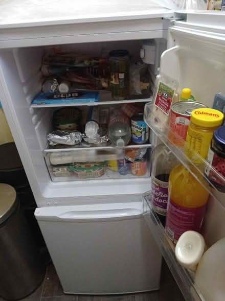 Photo of free Fridge freezer (Liverpool L12) #4