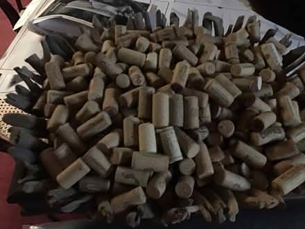 Photo of free Wine corks for crafting (Cherry Hill & Telegraph) #1