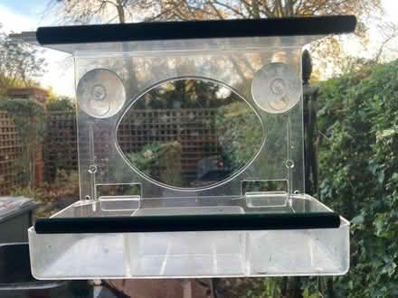 Photo of free Window bird feeder (SW16) #1