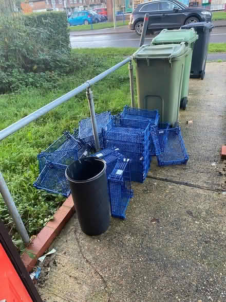 Photo of free used mushroom trays (guildford GU1) #1