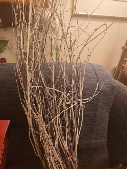 Photo of free Christmas decorations (whitley bay NE25) #3