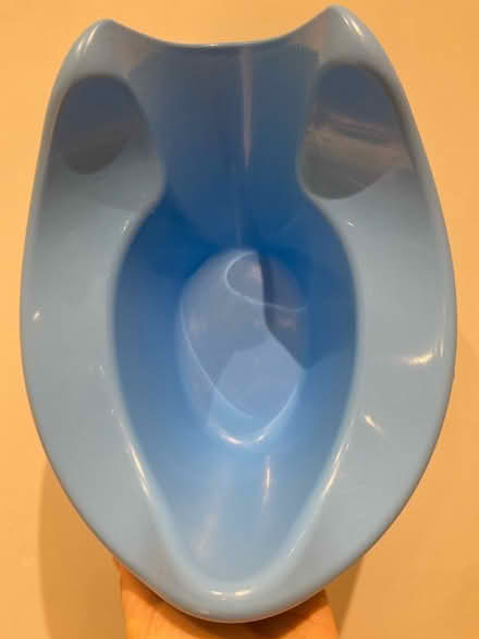 Photo of free Pourty blue potty for toddler (Whittlesey) #2