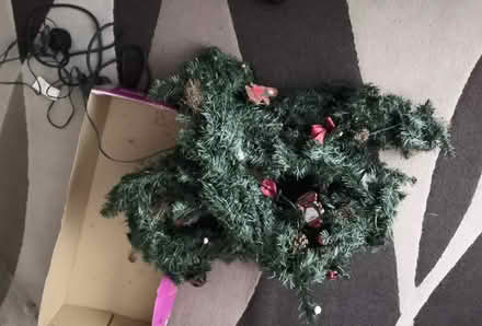 Photo of free Christmas Garland with lights (Mickleover DE3) #1