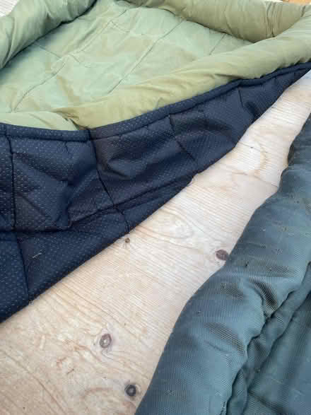 Photo of free 2 dog beds (Hallow WR2) #2